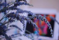 post-188117-0-28567700-1383867153_thumb.