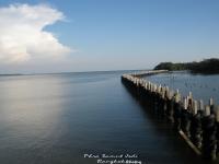 post-188117-0-31325300-1384984426_thumb.