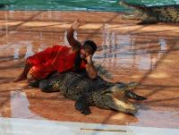 post-188117-0-55812800-1384984362_thumb.