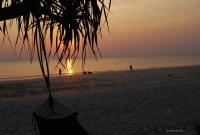 post-188117-0-72924800-1384983384_thumb.