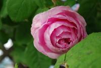 post-188117-0-99765800-1384346323_thumb.