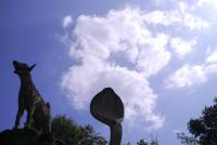 post-192470-0-89955700-1384797850_thumb.
