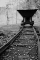 post-192541-0-92666100-1384868468_thumb.