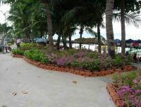 post-2109-0-57398400-1384335142_thumb.jp