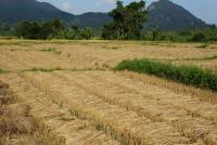 post-25023-0-01658300-1385279646_thumb.j