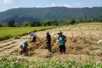 post-25023-0-12335300-1385106422_thumb.j