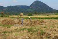 post-25023-0-29136000-1385279572_thumb.j