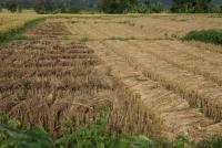 post-25023-0-58184900-1385279605_thumb.j