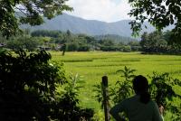 post-25023-0-90468700-1383920200_thumb.j