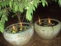 post-32351-0-65373700-1384796901_thumb.j