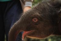 post-44005-0-00560700-1384094504_thumb.j