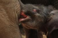 post-44005-0-96796500-1384096758_thumb.j