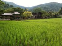 post-44005-0-97242700-1384096338_thumb.j