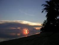 post-54326-0-36663900-1384938183_thumb.j