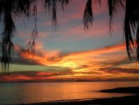 post-54326-0-36832900-1384938091_thumb.j