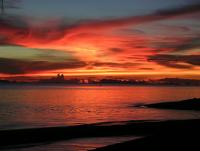 post-54326-0-37414700-1384938149_thumb.j