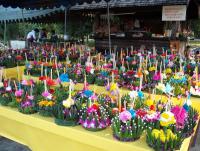 post-54326-0-58476000-1384935856_thumb.j