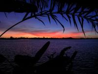 post-54326-0-61734200-1384935628_thumb.j