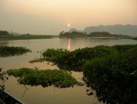 post-54326-0-85944800-1384938266_thumb.j