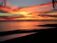 post-54326-0-95252000-1384938129_thumb.j