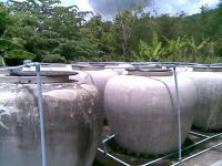 post-5614-0-69031500-1383289018_thumb.jp