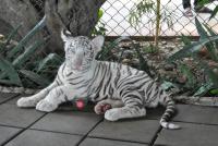 post-58709-0-10548100-1384581574_thumb.j