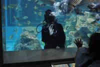 post-58709-0-85446200-1384581641_thumb.j