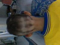 post-6831-0-02647100-1385685460_thumb.jp