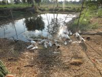 post-73977-0-14092500-1384254801_thumb.j