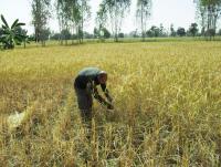 post-73977-0-30292400-1384435588_thumb.j