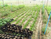 post-73977-0-58632400-1384203800_thumb.j