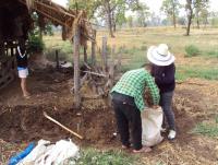 post-73977-0-60957500-1384204453_thumb.j