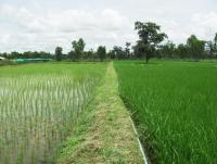 post-73977-0-72002000-1384435553_thumb.j