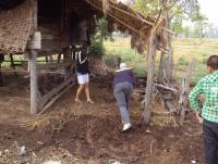 post-73977-0-85239400-1384204489_thumb.j