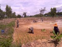 post-73977-0-87825600-1384435515_thumb.j