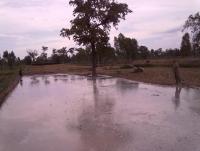 post-73977-0-94559300-1384435494_thumb.j