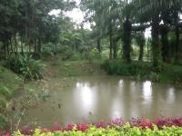 post-85853-0-36678700-1385787258_thumb.j