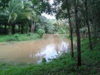 post-85853-0-58776600-1385787149_thumb.j