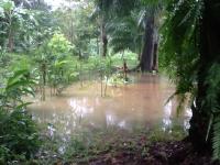 post-85853-0-67271000-1385787422_thumb.j