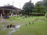 post-85853-0-93888200-1385787206_thumb.j