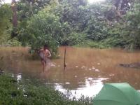 post-85853-0-97301100-1385787332_thumb.j