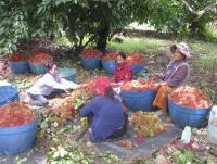 post-89212-0-53017700-1384924070_thumb.j