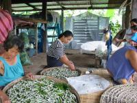 post-95325-0-37090000-1383920153_thumb.j