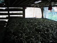 post-95325-0-47998500-1383919915_thumb.j