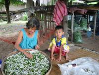 post-95325-0-69551400-1383920114_thumb.j