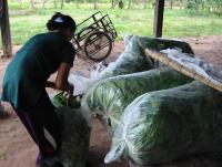 post-95325-0-72753500-1383919865_thumb.j