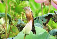 post-12069-0-11163600-1416640199_thumb.j