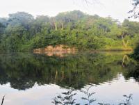 post-12069-0-12706000-1416113109_thumb.j