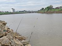 post-12069-0-66963800-1417337168_thumb.j