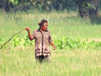 post-12069-0-85610200-1415703045_thumb.j